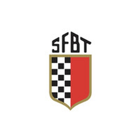 Logo SFBT