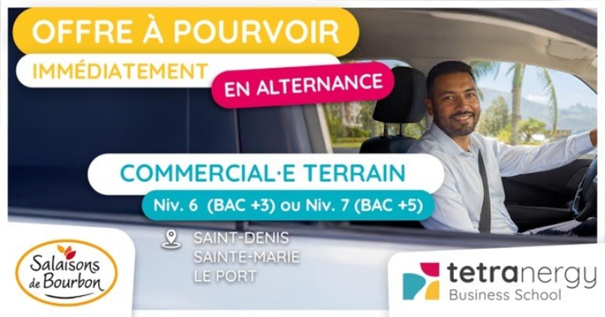 COMMERCIAL·E TERRAIN (Nord)