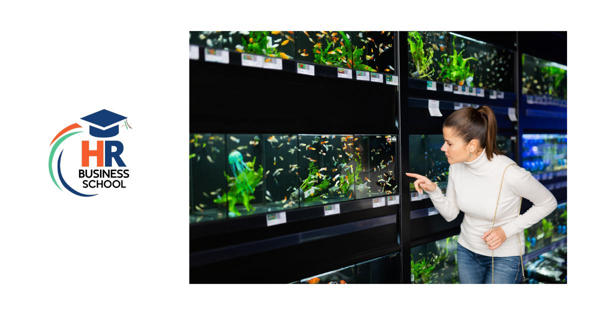 Vendeur(se) en animalerie (en apprentissage)