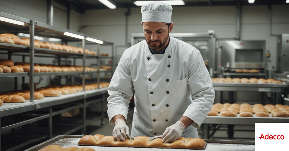 BOULANGER INDUSTRIEL H/F