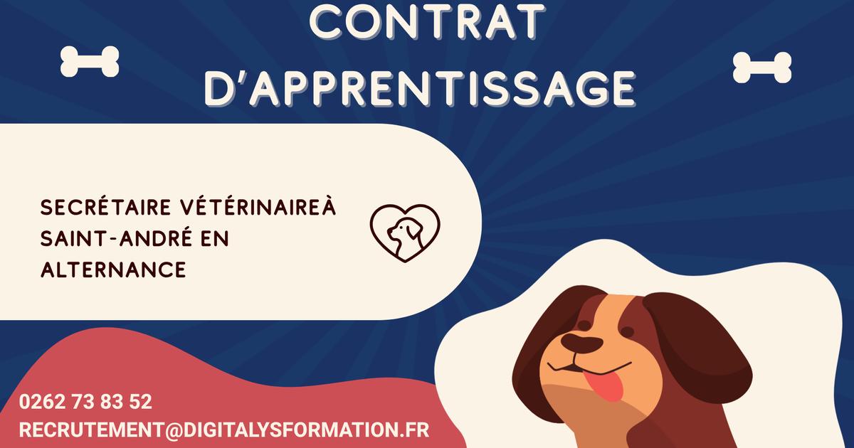 CONTRAT D'APPRENTISSAGE CHARGÉ(E) D'ACCUEIL ET DE GESTION ADMINISTRATIVE