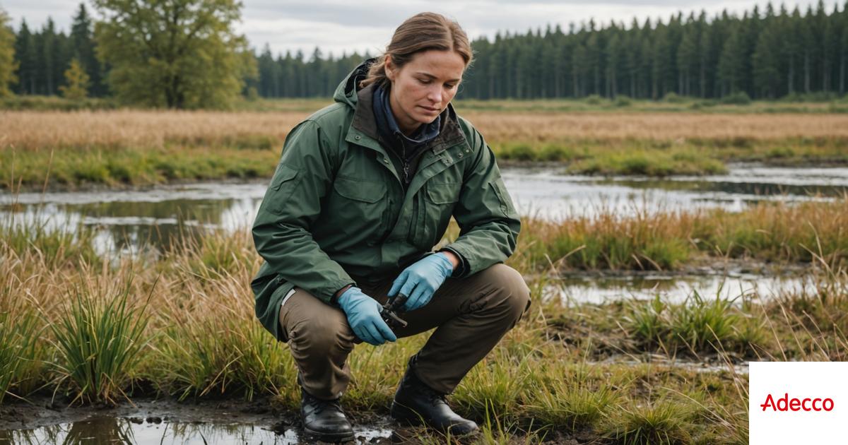 Ingénieur écologue (H/F)