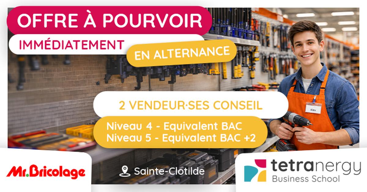 2 VENDEUR·SES CONSEIL EN BRICOLAGE (Sainte-Clotilde)