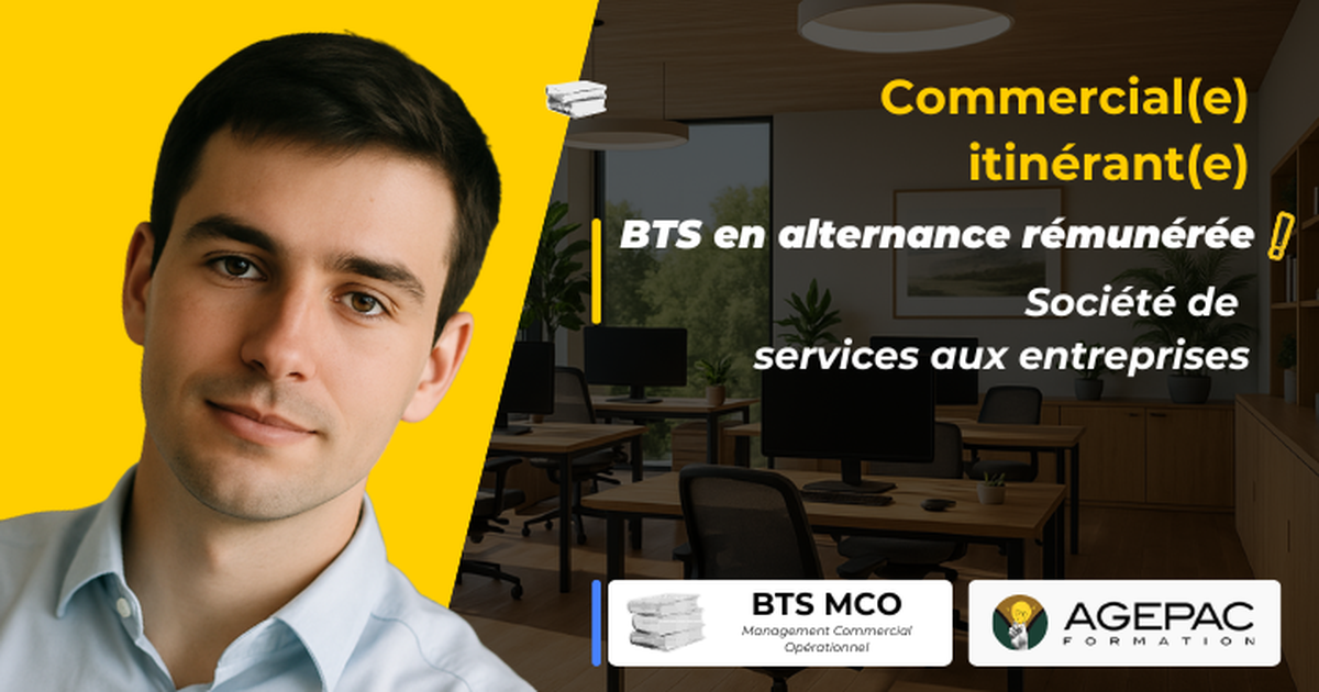 Commercial(e) Itinérant(e) B2B - BTS MCO en alternance  | REF00591