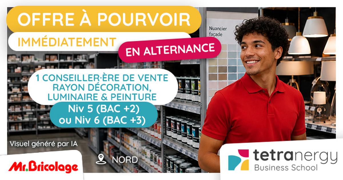 CONSEILLER·ÈRE DE VENTE – RAYON DÉCORATION, LUMINAIRE & PEINTURE (Sainte-Clotilde)