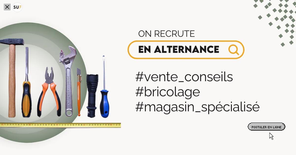 Vendeur bricolage (H/F)/Orléans/Alternance