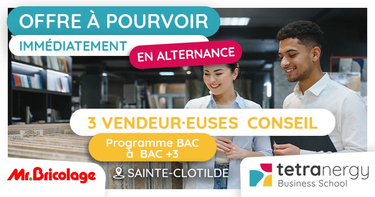 3 CONSEILLER·ÈRES DE VENTE EN BRICOLAGE (Sainte-Clotilde)