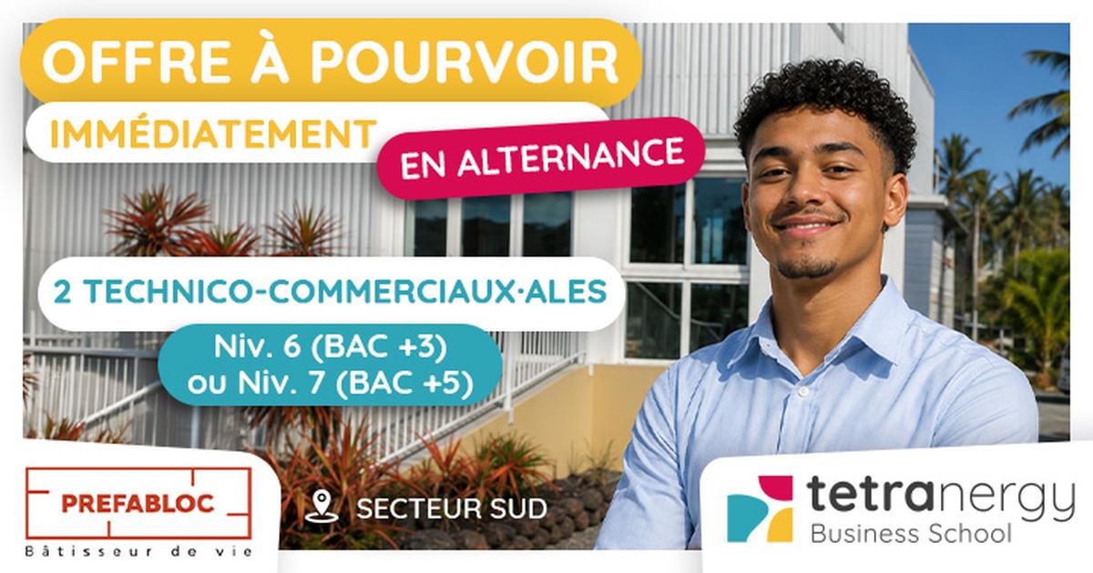 2 TECHNICO- COMMERCIAUX·ALES (Secteur Sud)