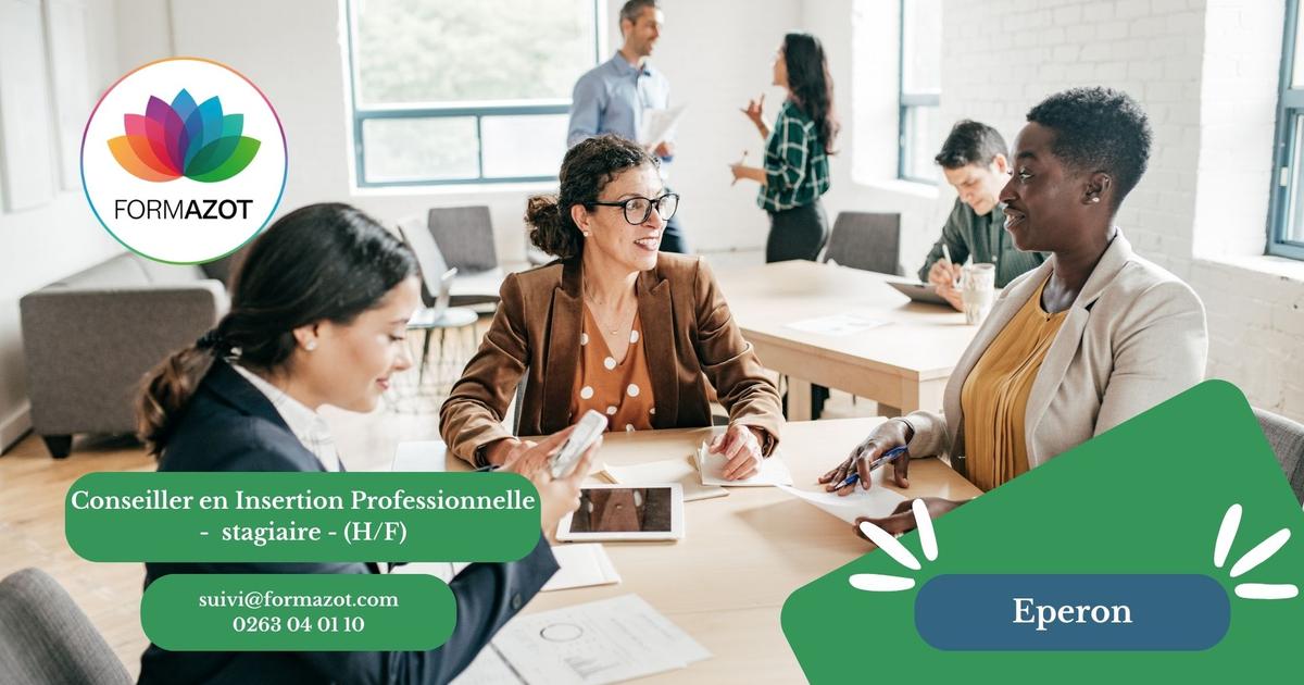 Conseiller.ère en Insertion Professionnelle – Stage