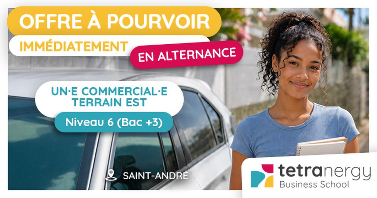 COMMERCIAL·E TERRAIN SECTEUR EST (Sainte-Suzanne)