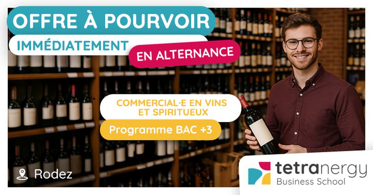 Commercial·e en vins et spiritueux (Rodez)