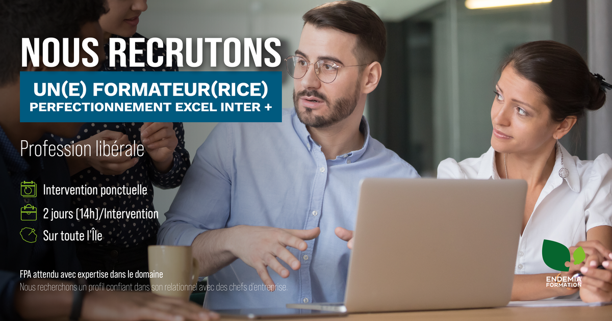 FORMATEUR PERFECTIONNEMENT EXCEL INTER + H/F