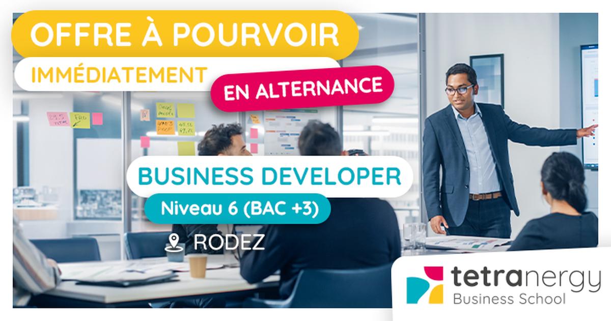 BUSINESS DEVELOPER (Rodez)