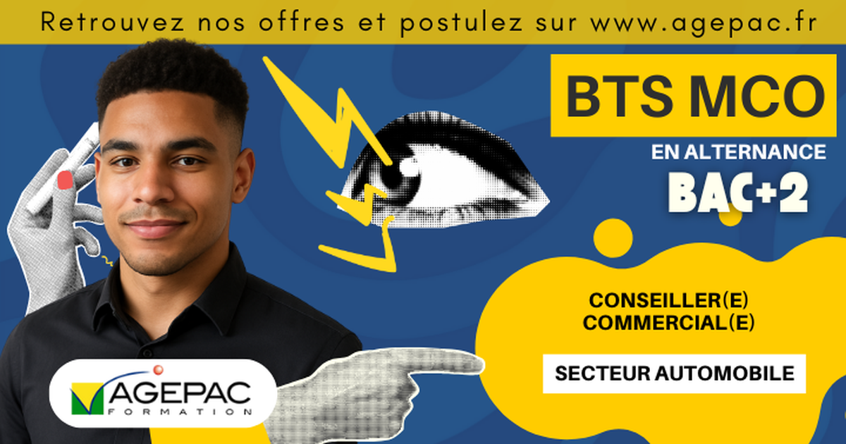 CONSEILLER(E) COMMERCIAL(E) (H/F) - BTS MCO EN ALTERNANCE - SECTEUR AUTOMOBILE  | REF952