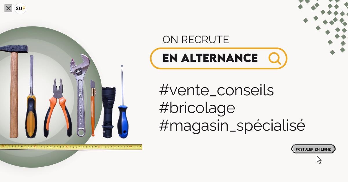 Vendeur dans un magasin de bricolage (H/F) / Saran/ Alternance