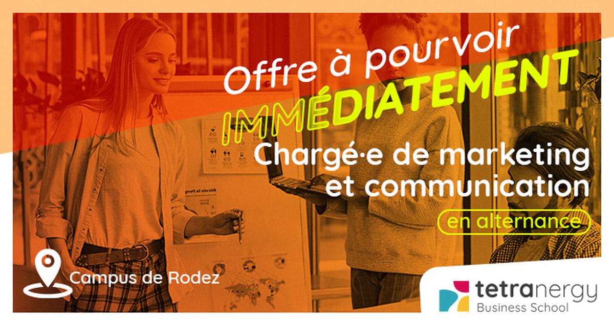 Manager de la stratégie digitale « H/F ».(Onet le château)