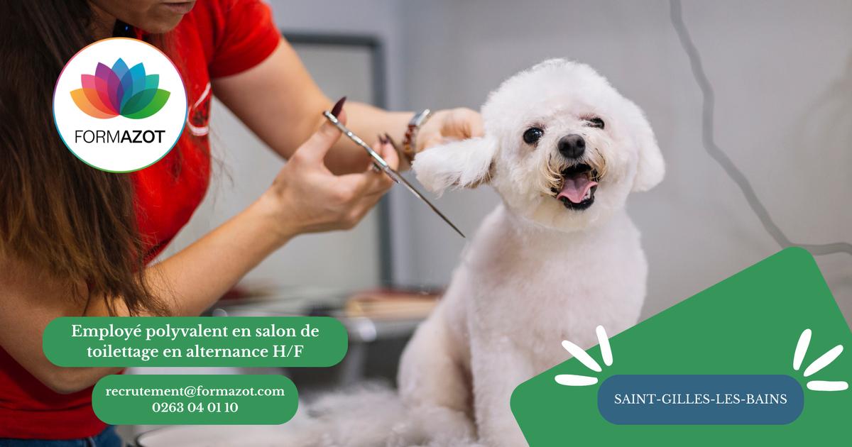 Employé polyvalent en salon de toilettage en alternance H/F - (Saint Gilles les Bains)