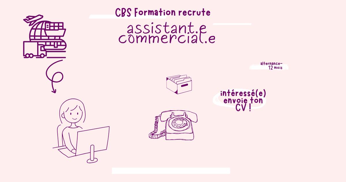 Assistant(e) Commercial(e) en transport et logistique en apprentissage H/F I LE PORT I CBS FORMATION