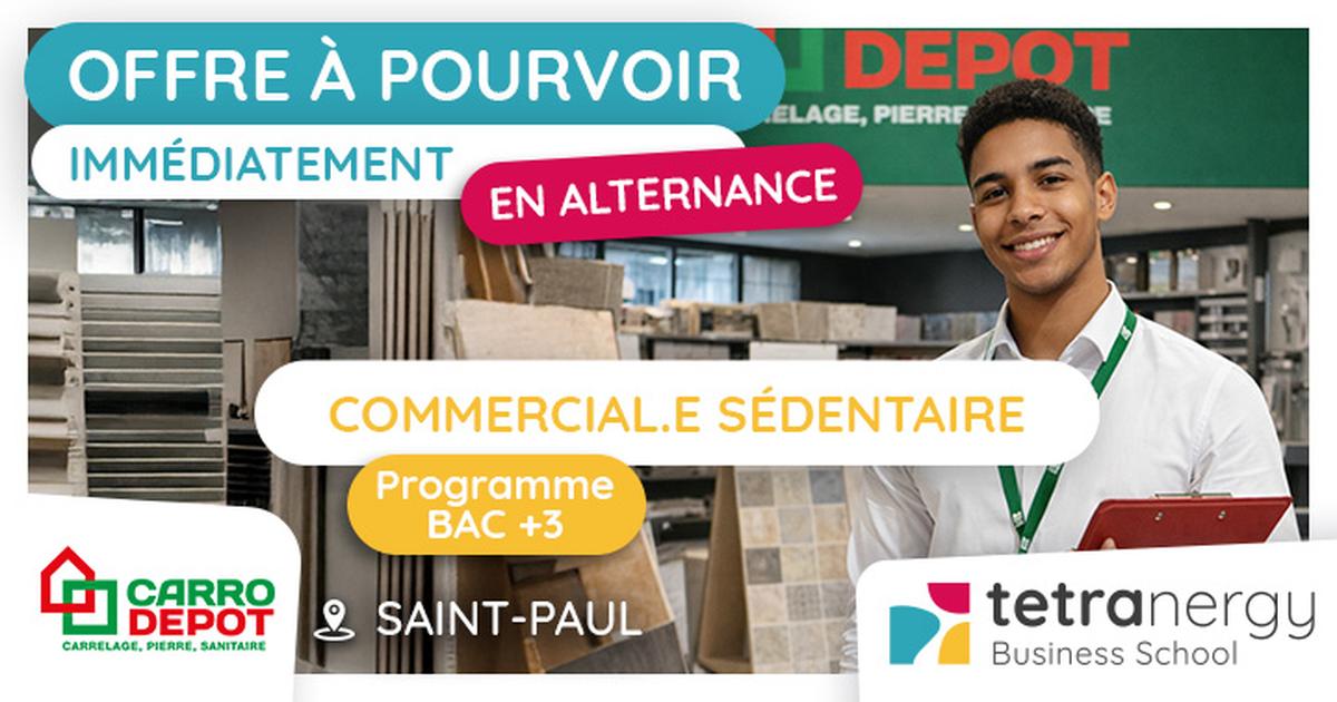 COMMERCIAL·E SÉDENTAIRE EN VENTE EN CARRELAGE (Saint-Paul)
