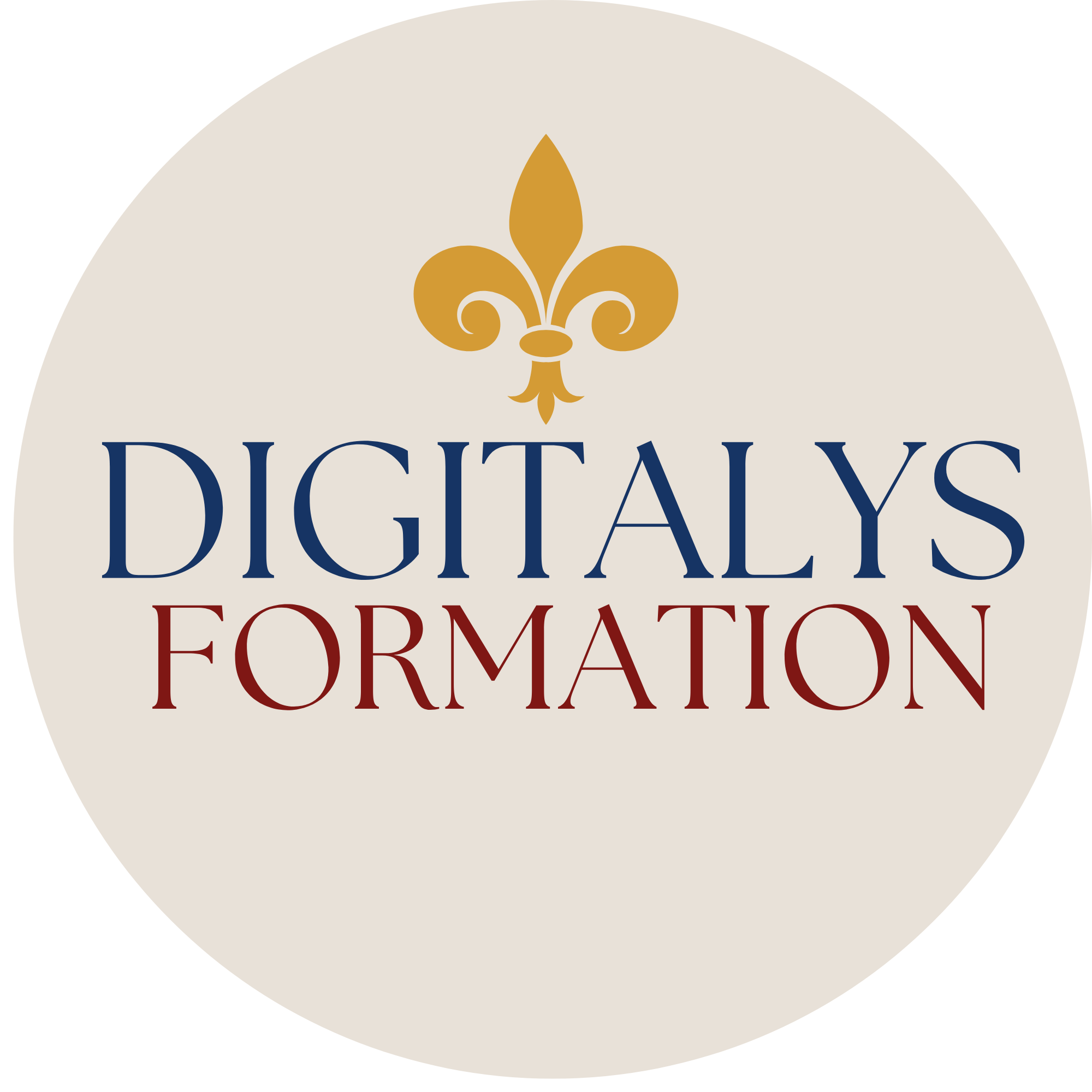 Logo DIGITALYS FORMATION