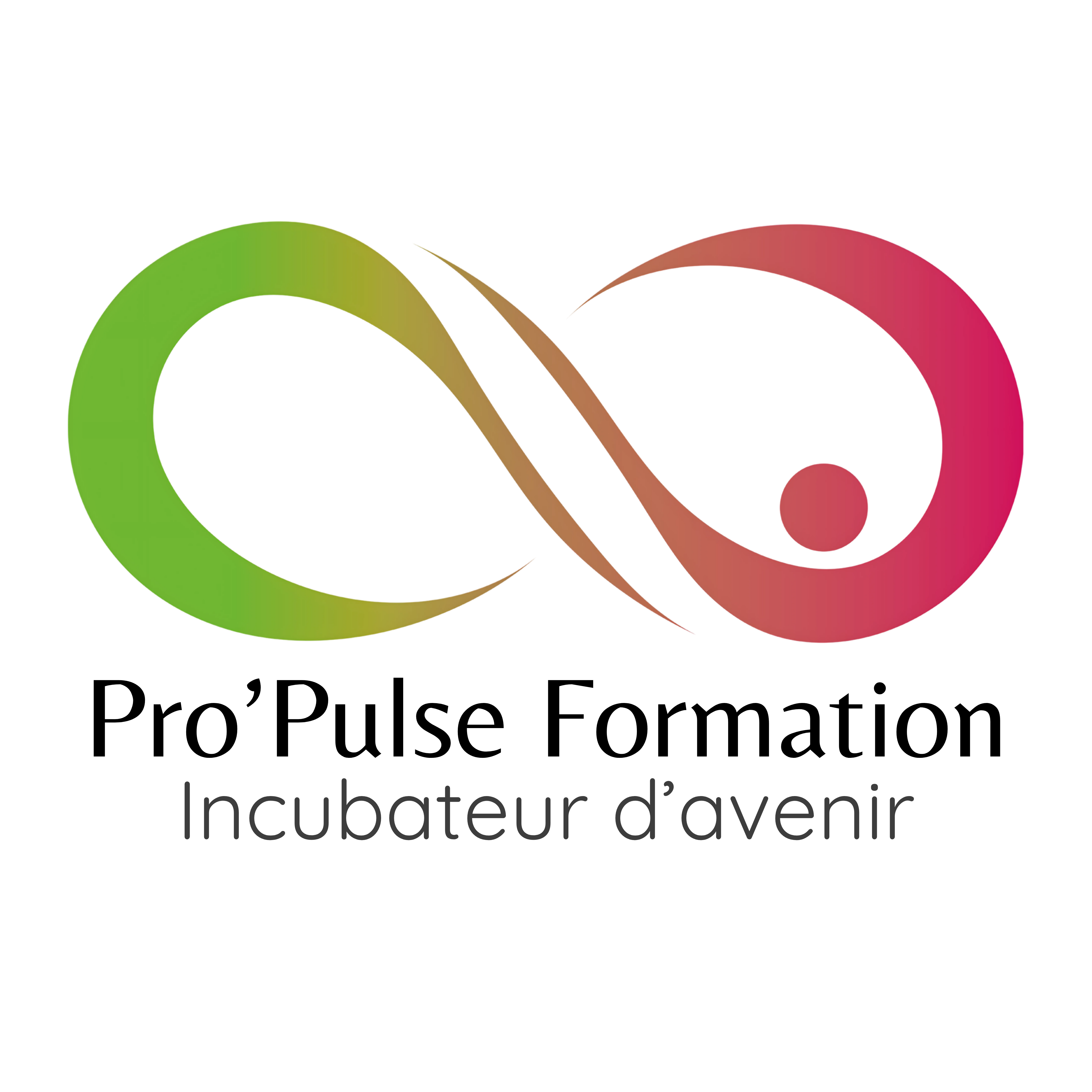 Logo PROPULSE FORMATION